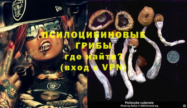 каннабис Алексеевка