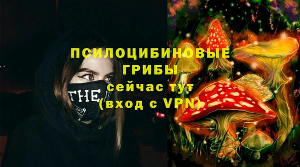 амфетамин Алексин